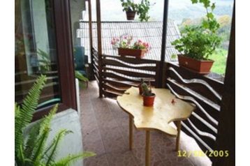 Romania Privát Prisaca Dornei, Eksteriør